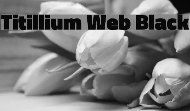 Titillium Web Black Font examples