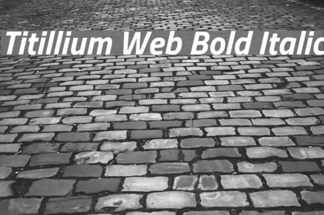 Titillium Web Bold Italic Font examples