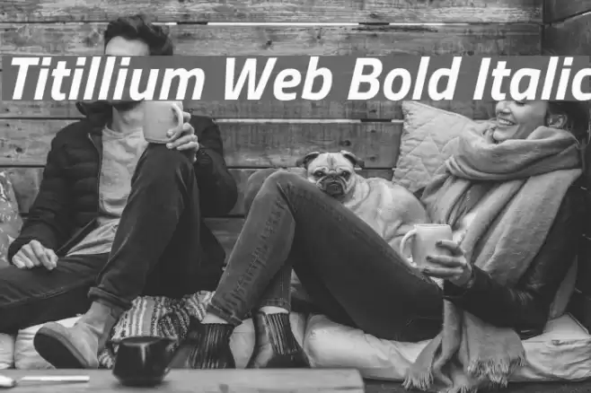 Titillium Web Bold Italic Font examples