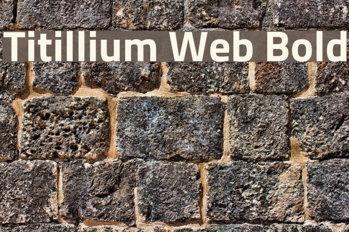 Titillium Web Bold Font examples