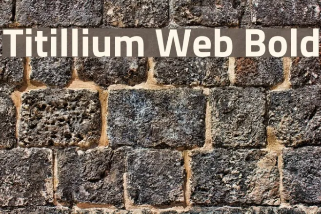 Titillium Web Bold Example 1
