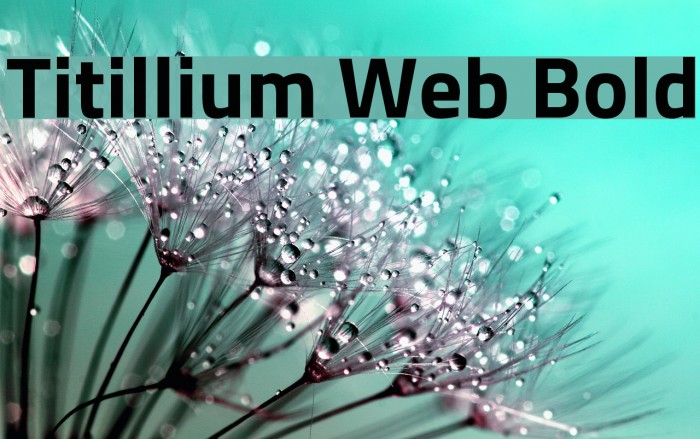 Titillium Web Bold Font examples