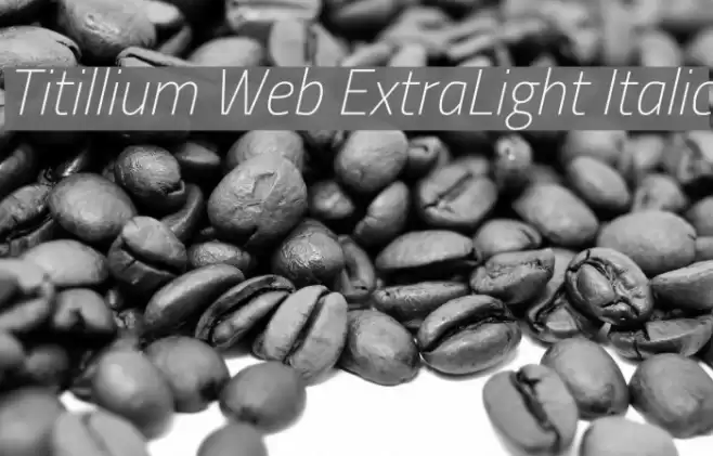 Titillium Web ExtraLight Italic Font examples