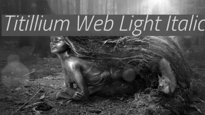 Titillium Web Light Italic Font examples