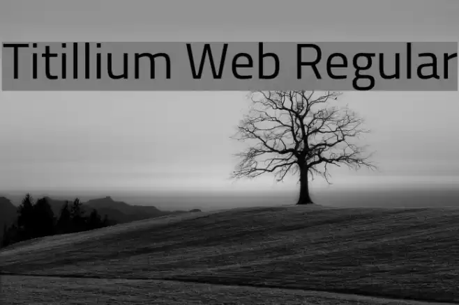 Titillium Web Regular Schriftart examples