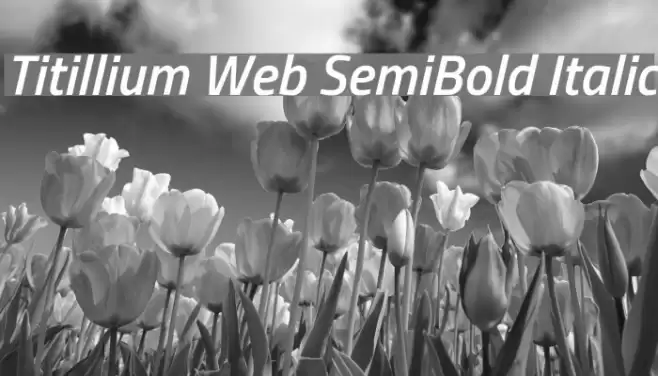 Titillium Web SemiBold Italic Font examples