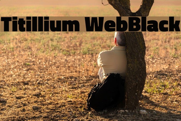 Titillium WebBlack Font examples