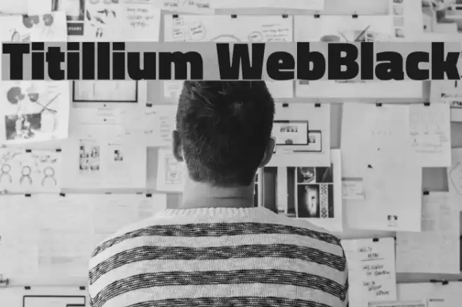 Titillium WebBlack Font examples