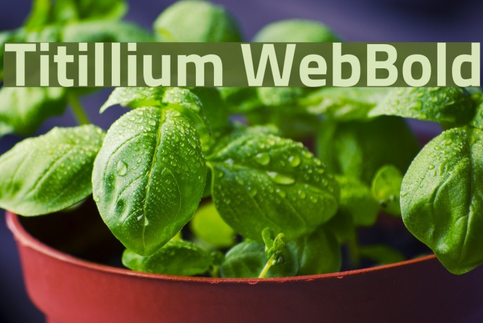 Titillium WebBold Font examples