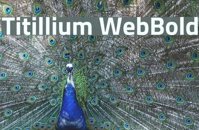 Titillium WebBold Font examples