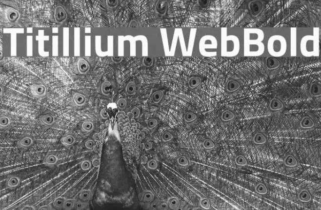 Titillium WebBold Font examples