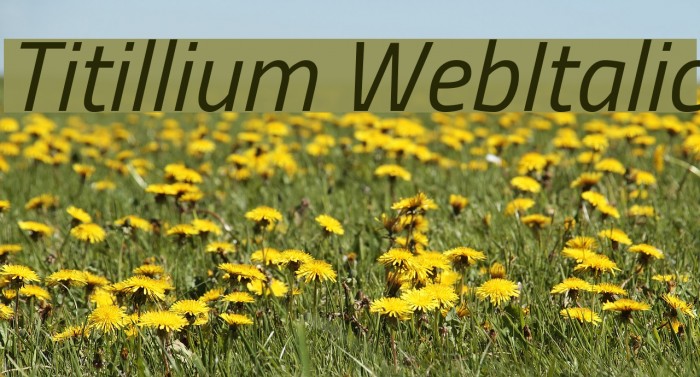 Titillium WebItalic Font examples
