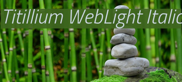 Titillium WebLight Italic Font examples