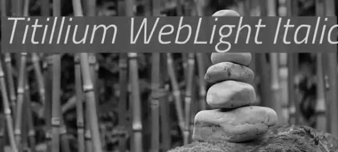 Titillium WebLight Italic Font examples