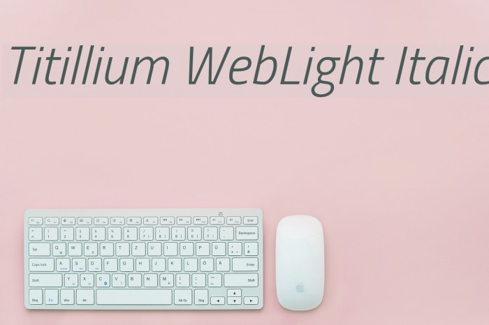 Titillium WebLight Italic Font examples