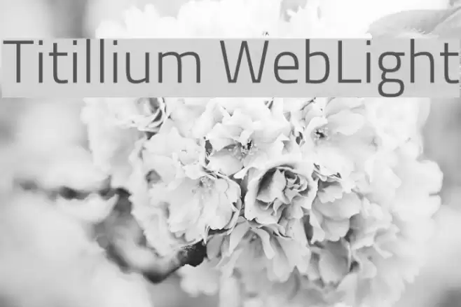 Titillium WebLight Font examples