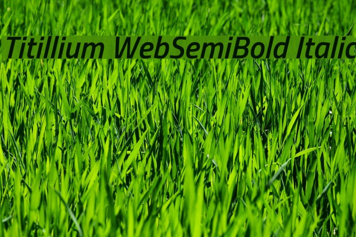 Titillium WebSemiBold Italic Font examples