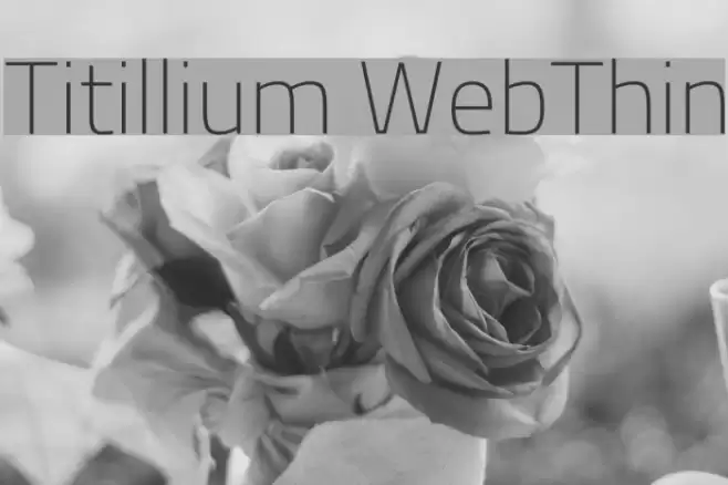 Titillium WebThin Font examples