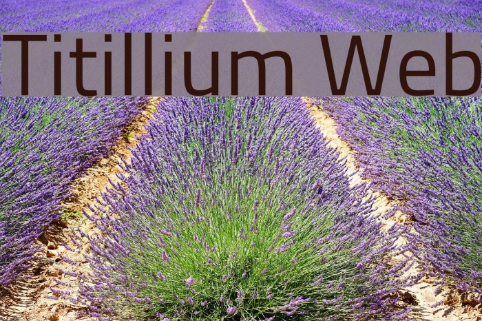 Titillium Web Font examples