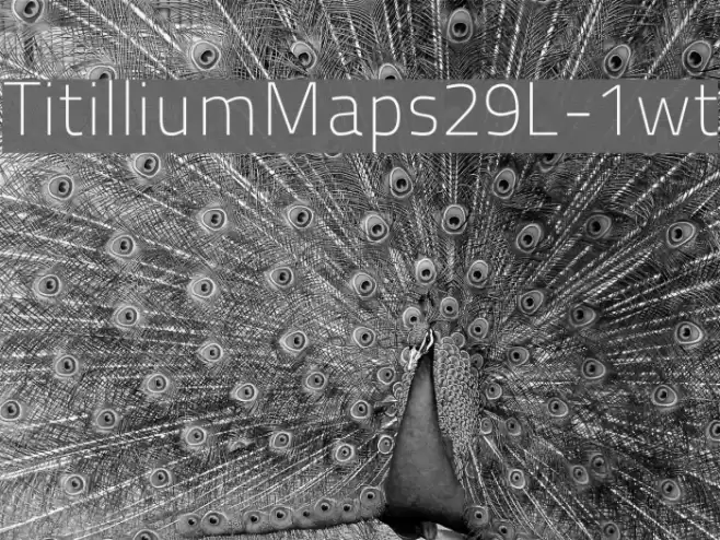 TitilliumMaps29L-1wt Font examples