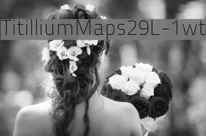 TitilliumMaps29L-1wt Font examples