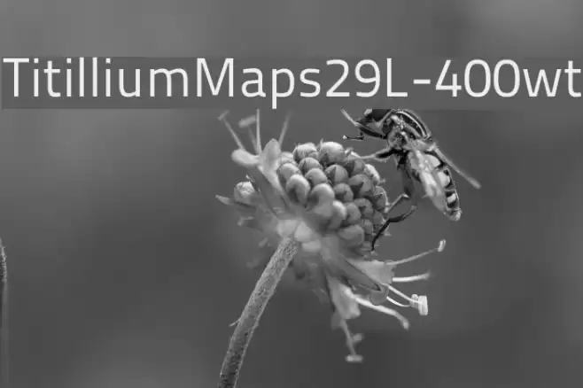 TitilliumMaps29L-400wt Font examples