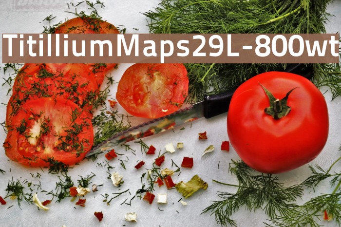 TitilliumMaps29L-800wt Font examples