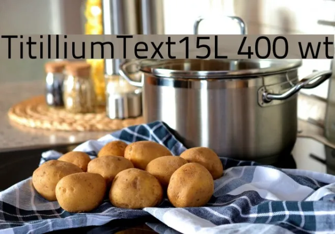TitilliumText15L 400 wt Example 3