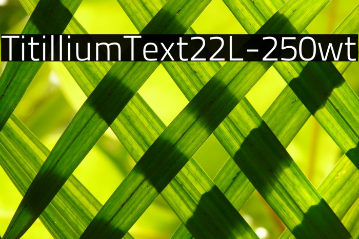 TitilliumText22L-250wt Font examples