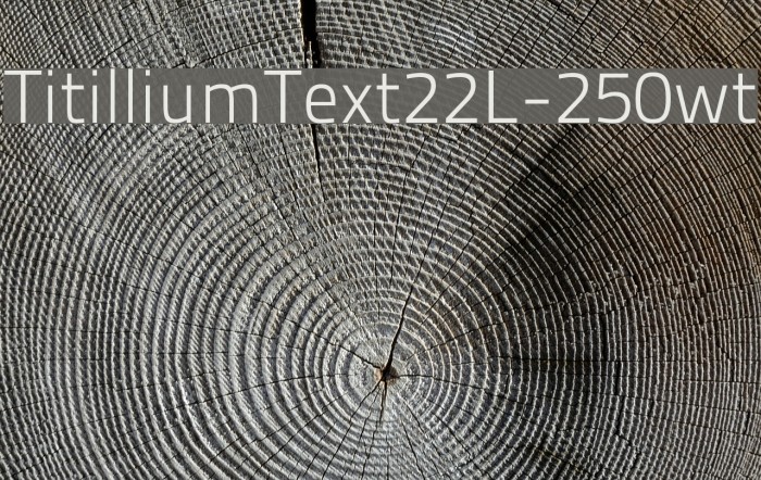 TitilliumText22L-250wt Font examples