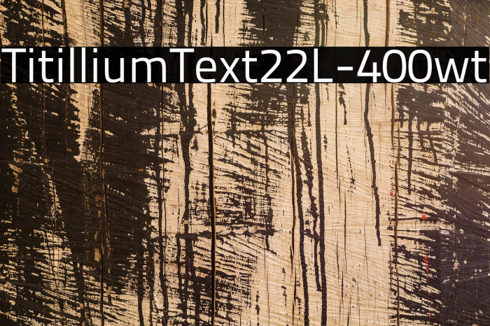 TitilliumText22L-400wt Font examples