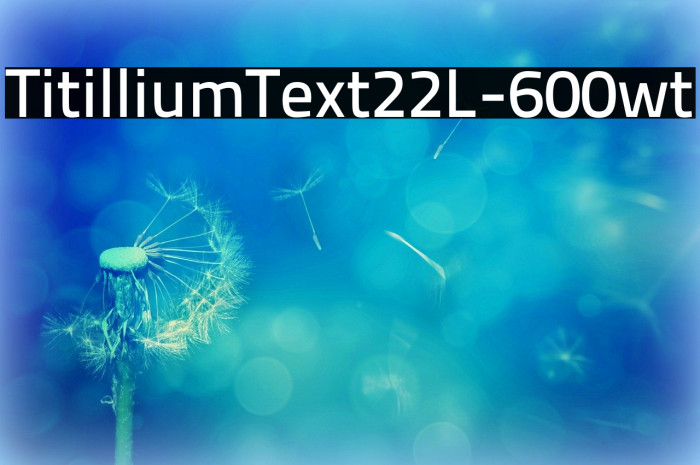 TitilliumText22L-600wt Font examples