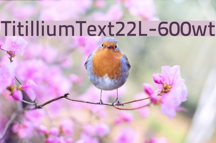 TitilliumText22L-600wt Font examples