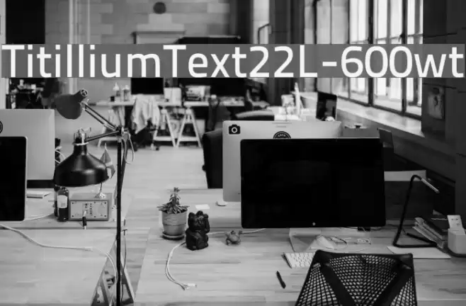 TitilliumText22L-600wt Font examples