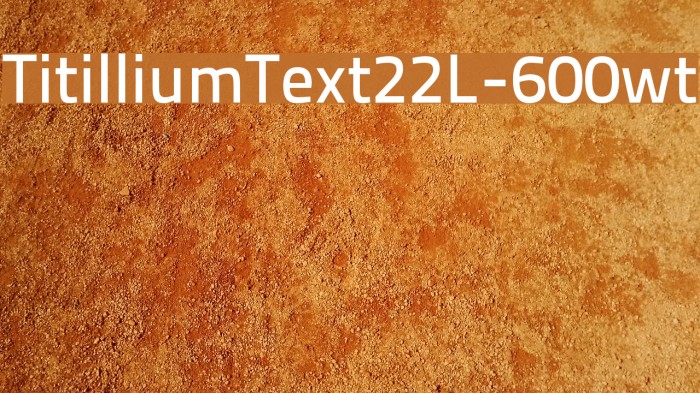 TitilliumText22L-600wt Font examples