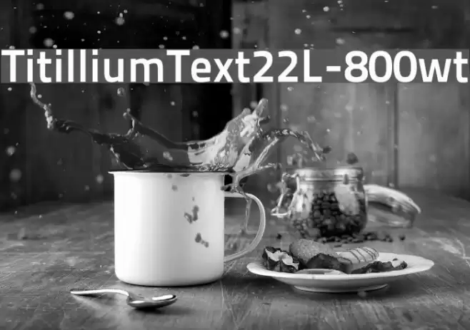 TitilliumText22L-800wt Font examples