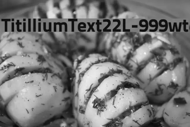 TitilliumText22L-999wt Font examples