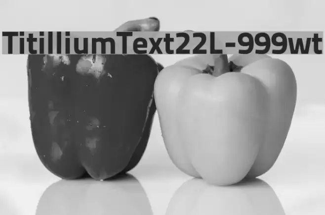TitilliumText22L-999wt Font examples
