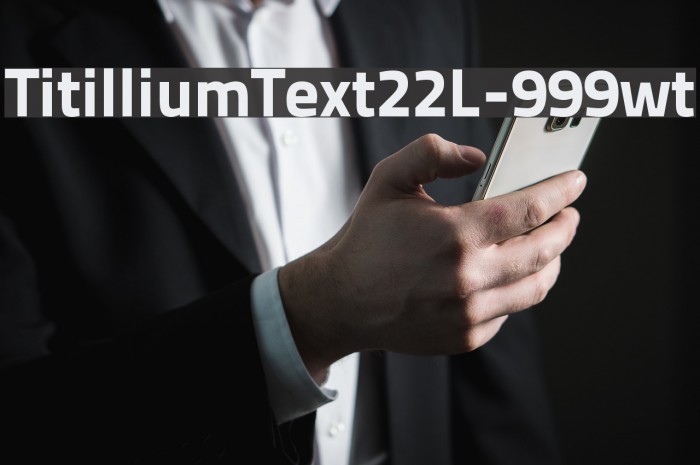 TitilliumText22L-999wt Font examples