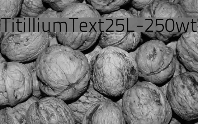 TitilliumText25L-250wt Font examples