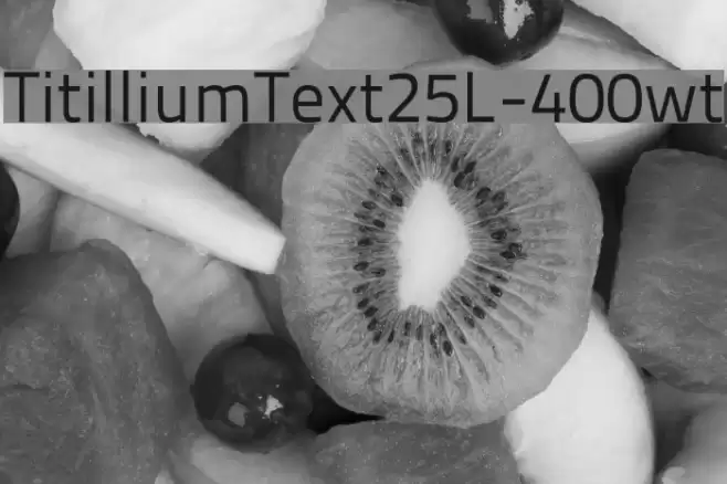 TitilliumText25L-400wt Font examples