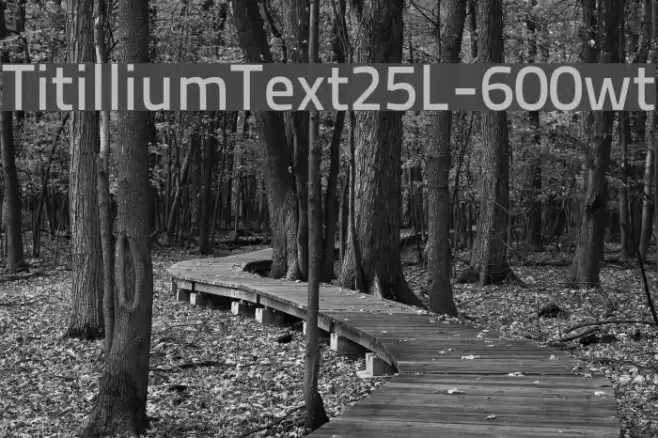 TitilliumText25L-600wt Font examples