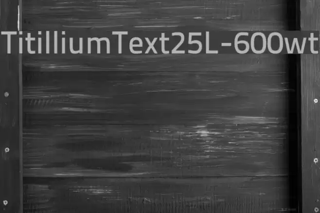 TitilliumText25L-600wt Font examples