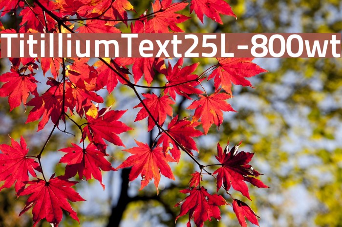 TitilliumText25L-800wt Font examples