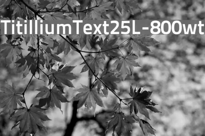 TitilliumText25L-800wt Font examples