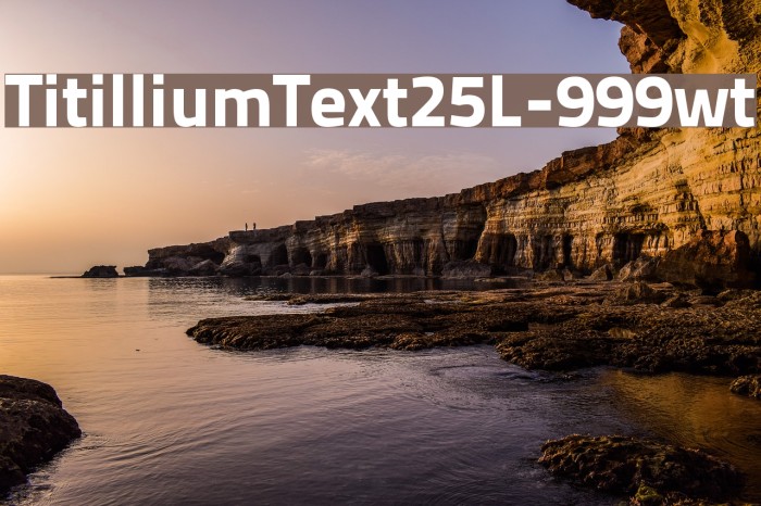 TitilliumText25L-999wt Font examples