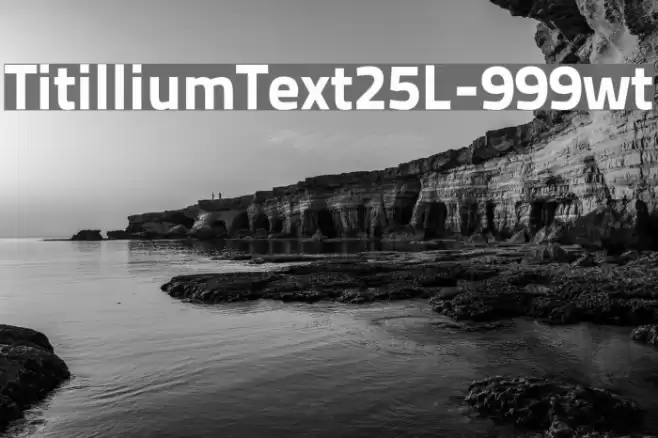 TitilliumText25L-999wt Font examples