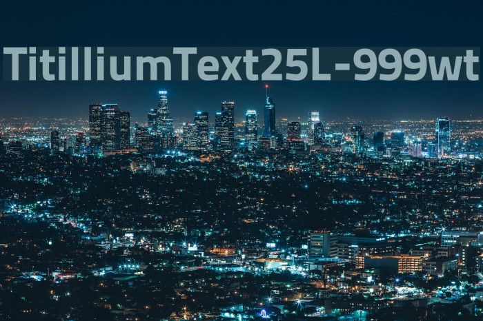 TitilliumText25L-999wt Font examples