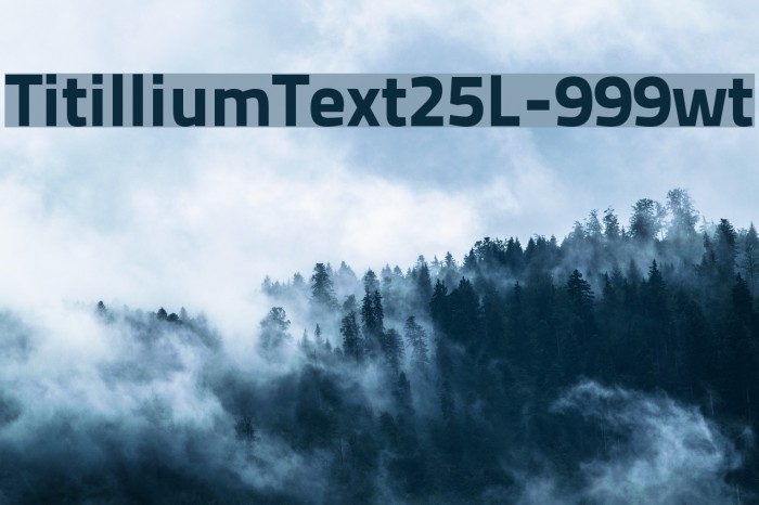 TitilliumText25L-999wt Font examples