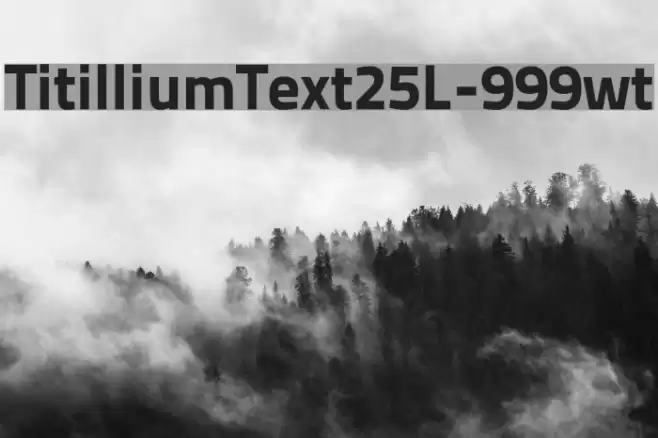 TitilliumText25L-999wt Font examples